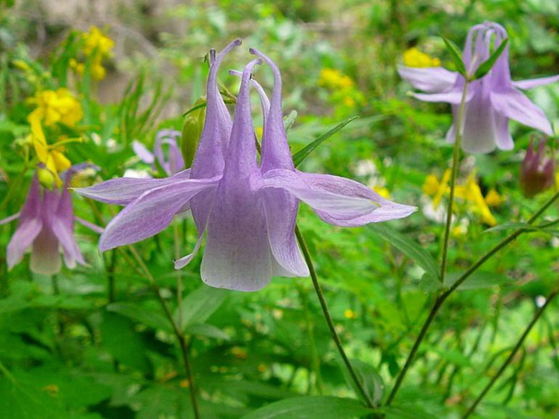 1598450444163150.jpg 7.jpg