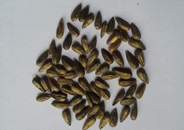 1645622852814433.jpg 9.jpg