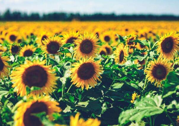 1645622868200568.jpg 9+.jpg