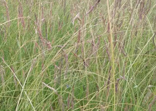 1664961058319887.jpg 8.jpg