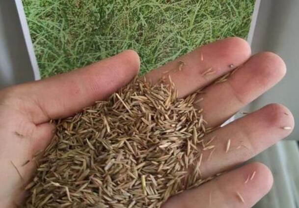 1667139819143667.jpg 0.jpg