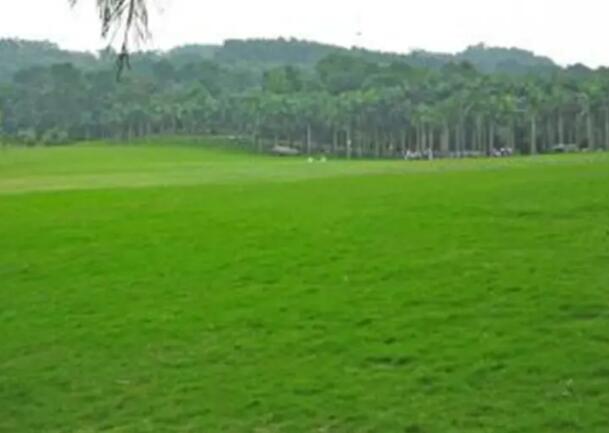 1667139832151273.jpg 0+.jpg