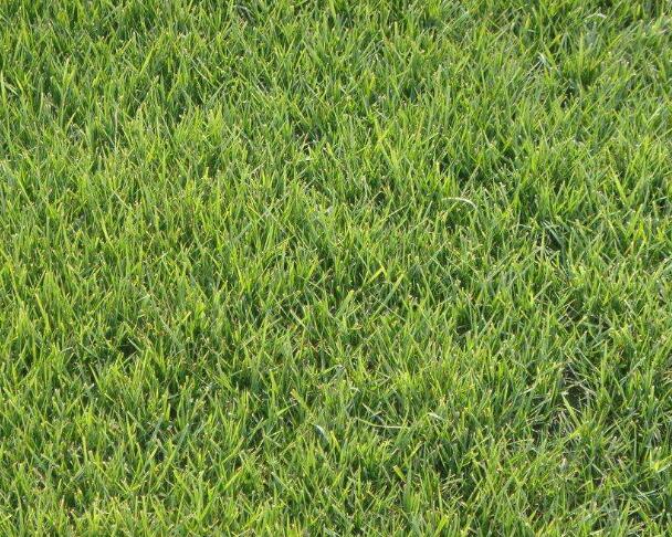 1667139843895135.jpg 0++.jpg