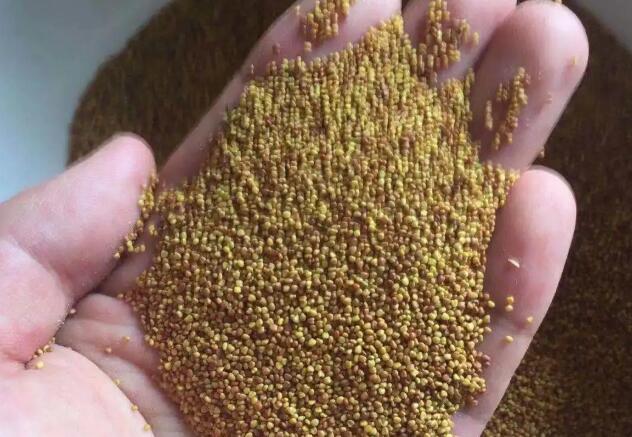 1671608144943069.jpg 00000.jpg